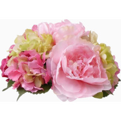 花草矢量图素材花草画