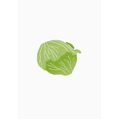 卡通卷心菜