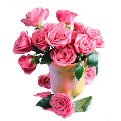 手绘蛋糕矢量图