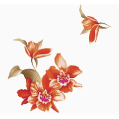 橘色花朵插画免扣素材