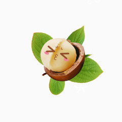 一颗可爱的夏威夷果