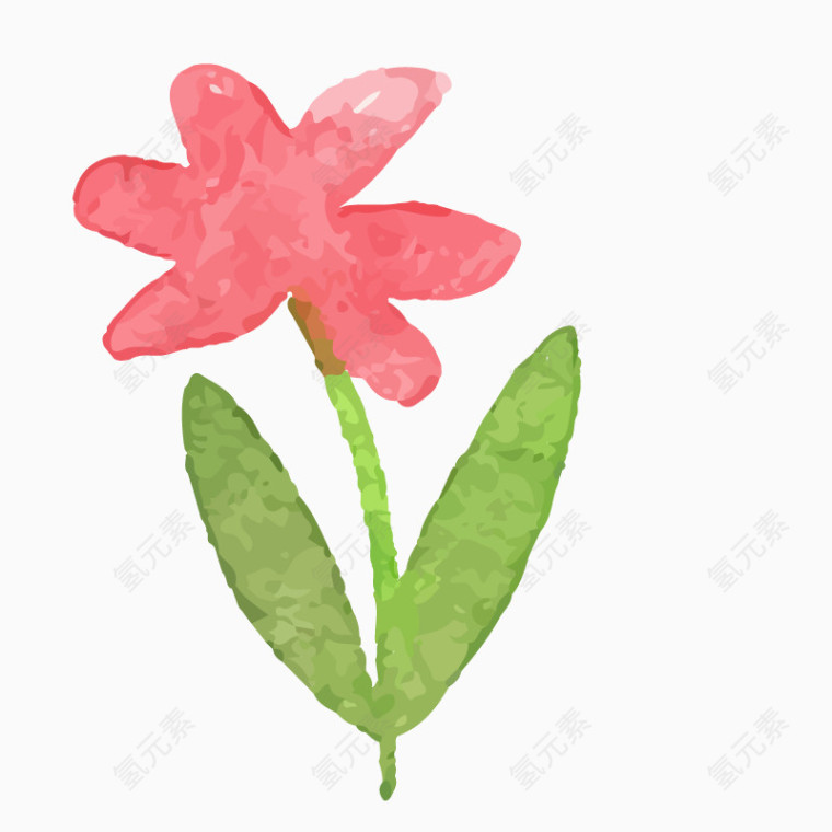 水彩绘花卉