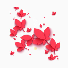 中秋节元素花朵