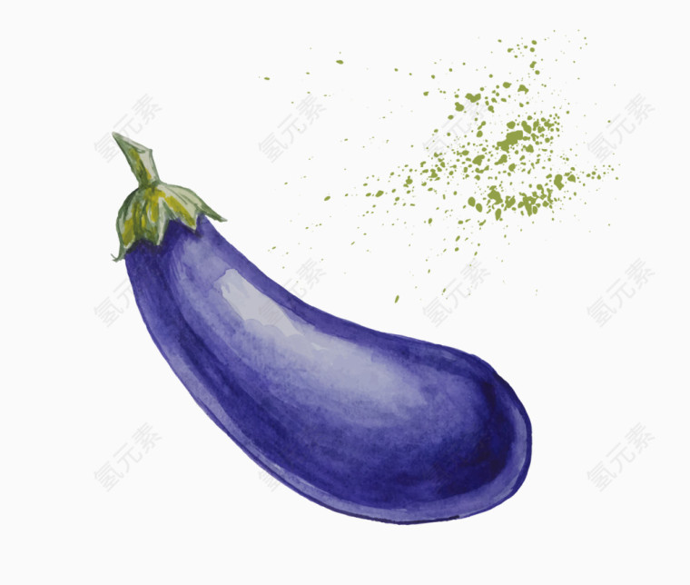 手绘茄子