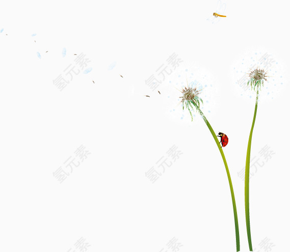卡通清新春天蒲公英
