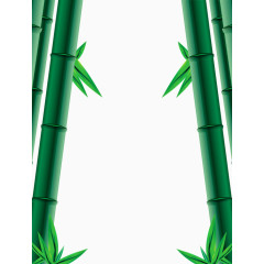 手绘竹子竹叶
