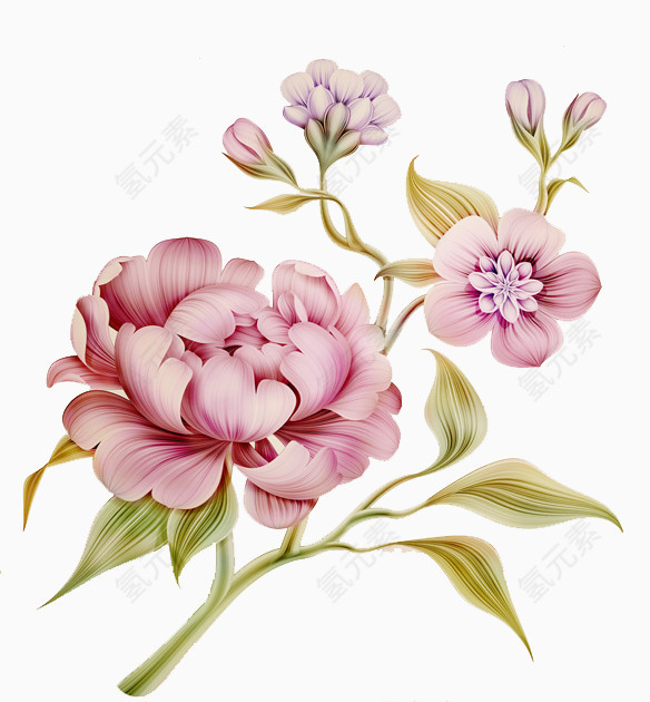 卡通手绘花
