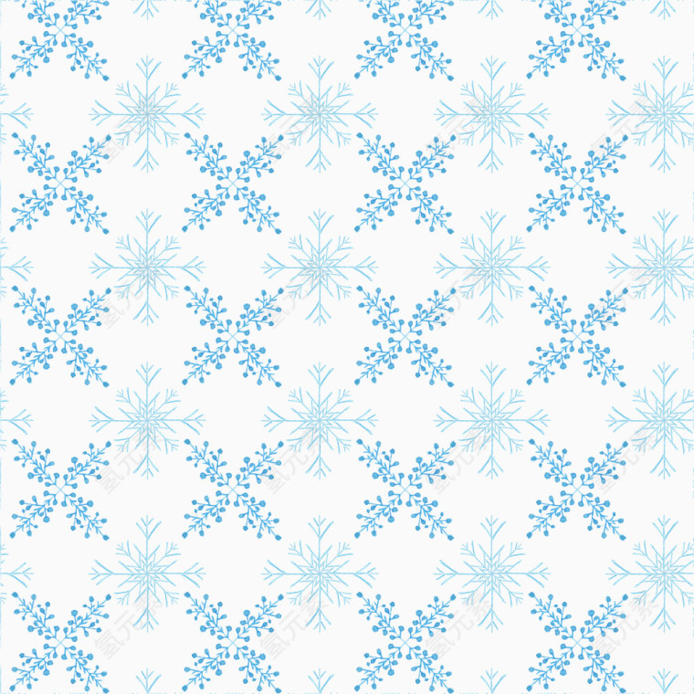 花卉画花卉插画