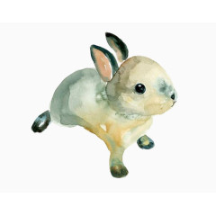 手绘水墨小兔子