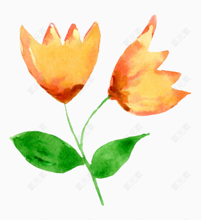 植物水彩画