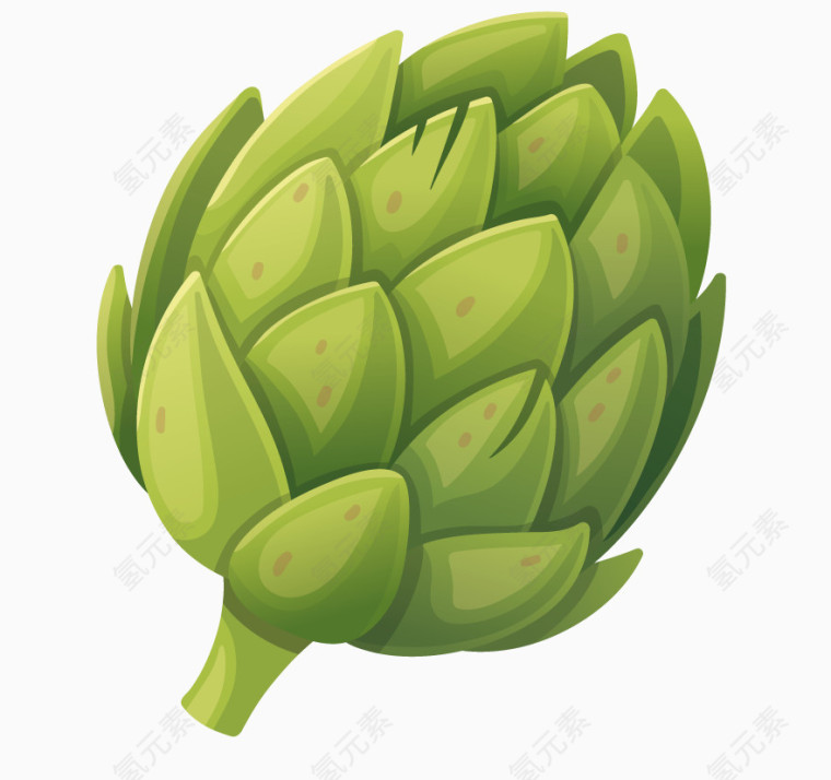 手绘松果