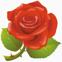 卡通精致玫瑰花