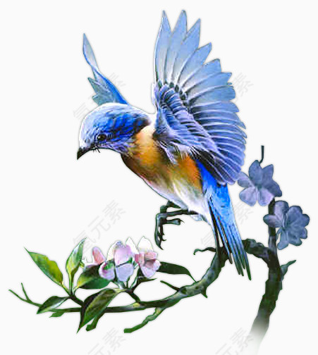 蓝色小鸟