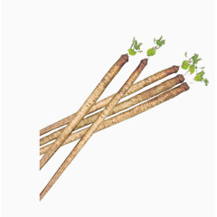 牛蒡中药图片素材