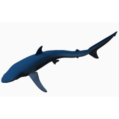 3d鱼类卡通动物