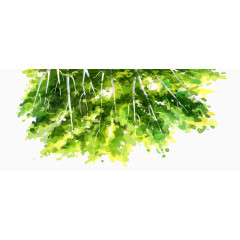 唯美的油画绿叶树枝