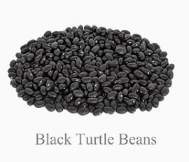 BlackTurtleBeans