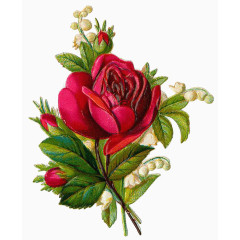 庆典花卉花朵素材