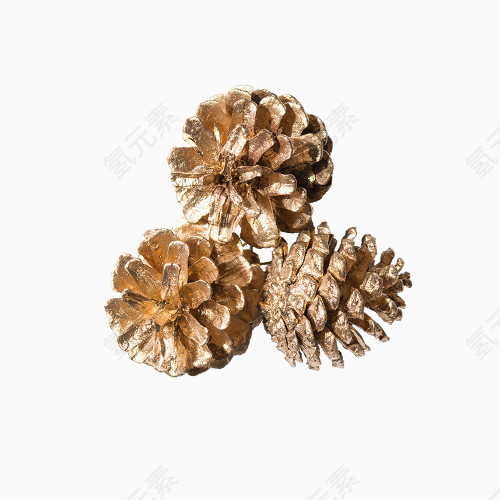 松球PNG素材