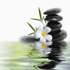 礼服裙矢量女孩