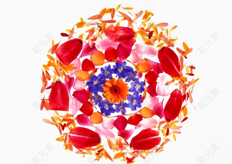 花瓣和花朵围成的圆形免扣素材