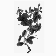 水墨画免抠PNG透明素材