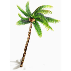 手绘椰子树