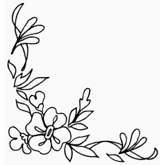 花朵边框