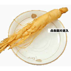 西洋参中药材保健药