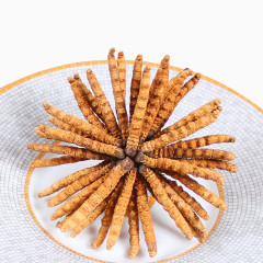 虫草冬虫夏草中药