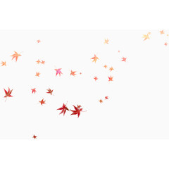 花草插画庆典花卉