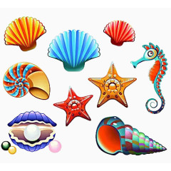 海螺海星海马素材