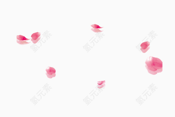 花瓣素材