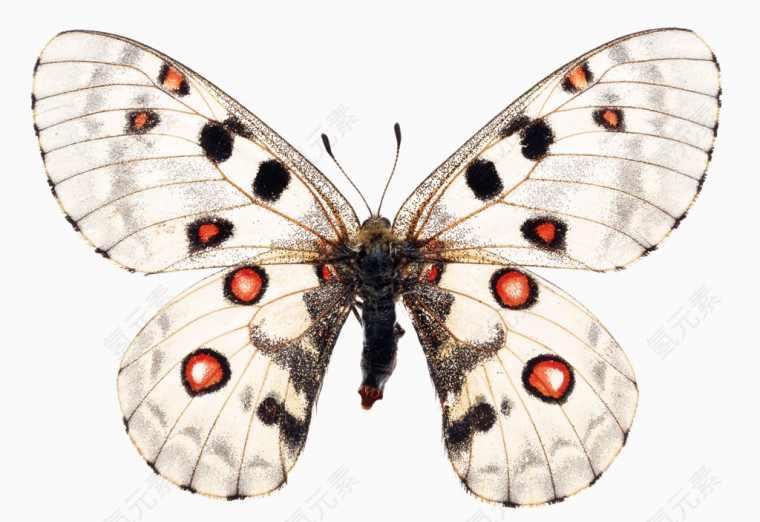 日本卡通装饰素材