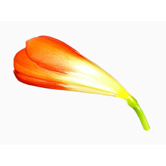 卡通鲜花图片花卉图案