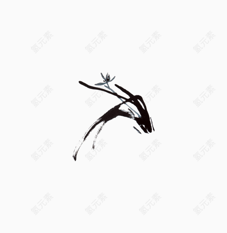 兰花