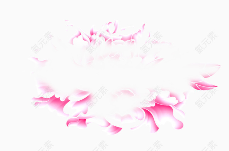 一株红花