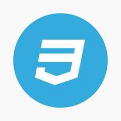 代码CSS发展语言布局编程风格设计师的技能版本1