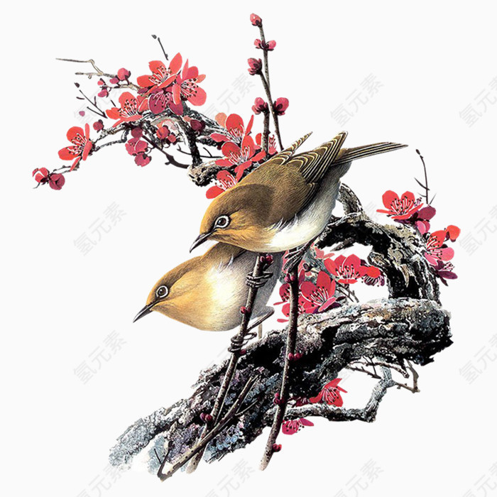 梅花树上的鸟