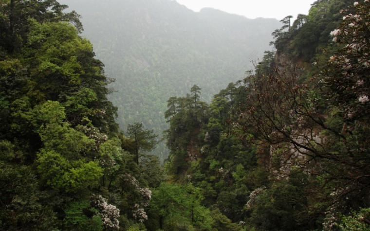 江西井冈山风景三