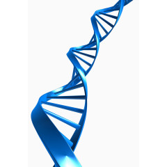 DNA素材