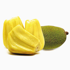 菠萝蜜素材