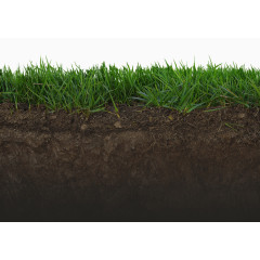 草地下的土层背景