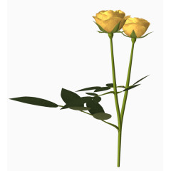 花草线描线描花卉