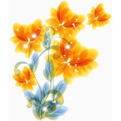 美丽盛开的橘黄色花朵