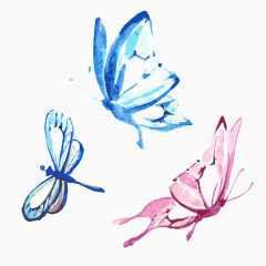 彩墨蝴蝶和蜻蜓