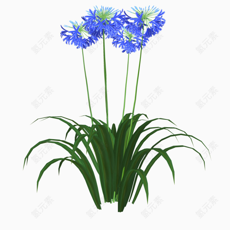 手绘花卉矢量素材