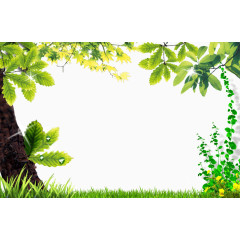 春天  绿色 边框  树叶