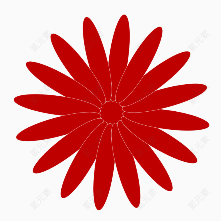 太阳花