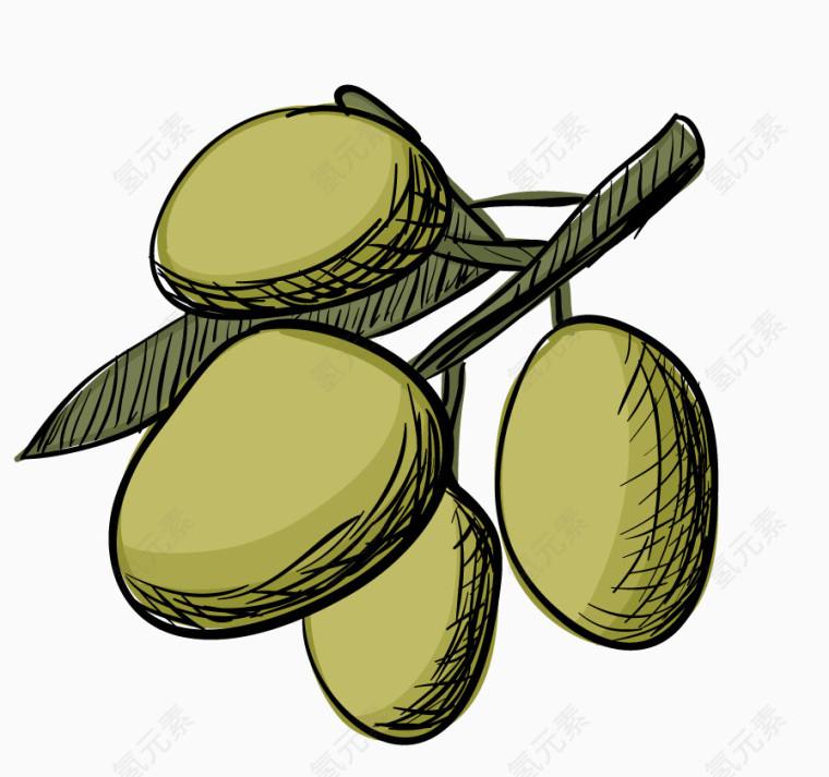 手绘橄榄